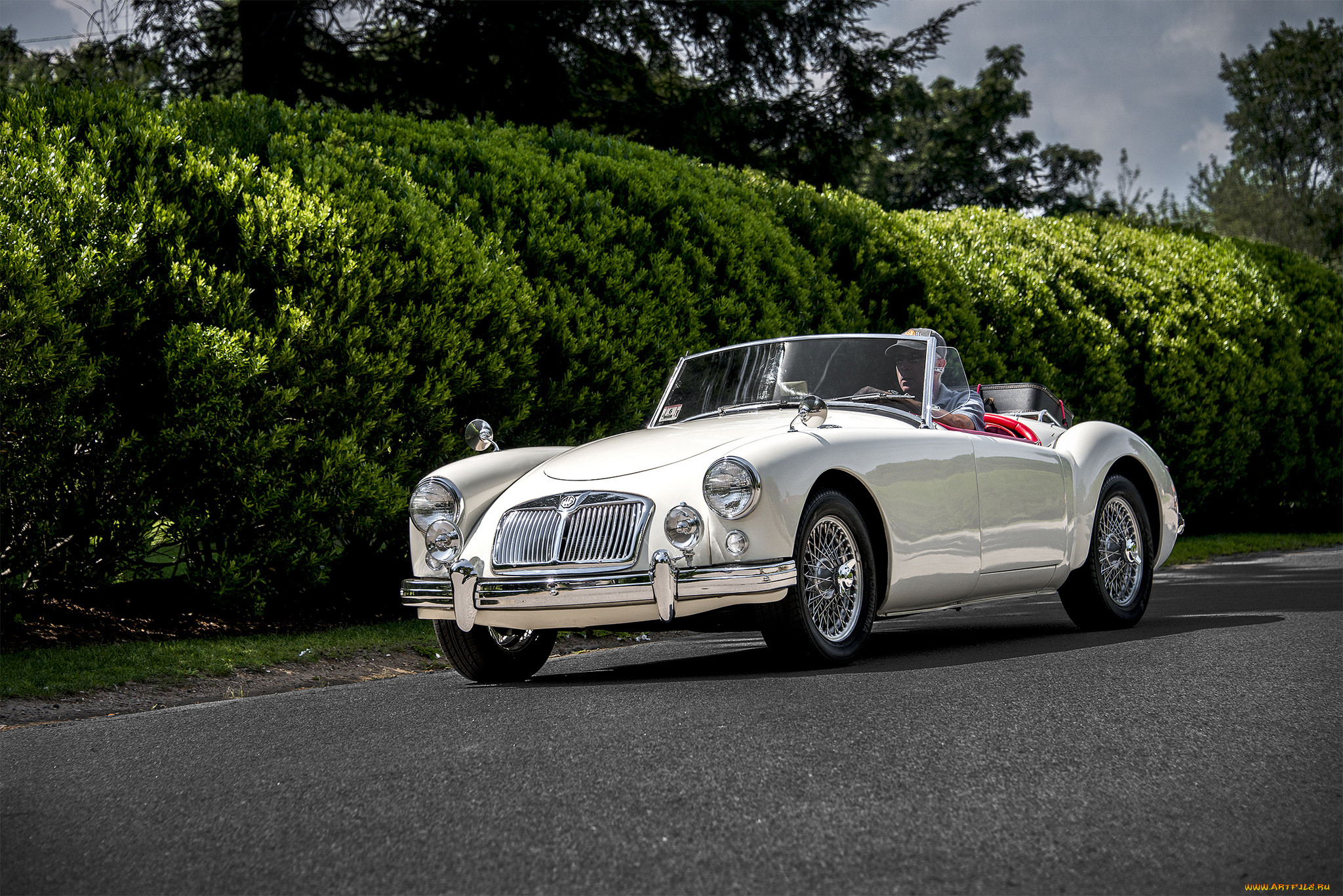 mg mga, , mg, , , 